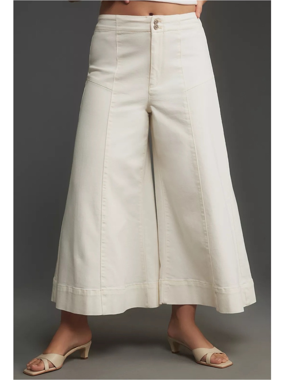 NWT Anthropologie Pilcro The McKinley Regenerative Cotton Corset Wide Leg Jeans